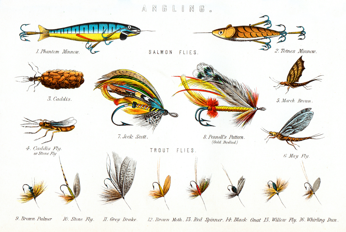 Angler's Paradise: The Top Ten Most Collectible Books on Fishing